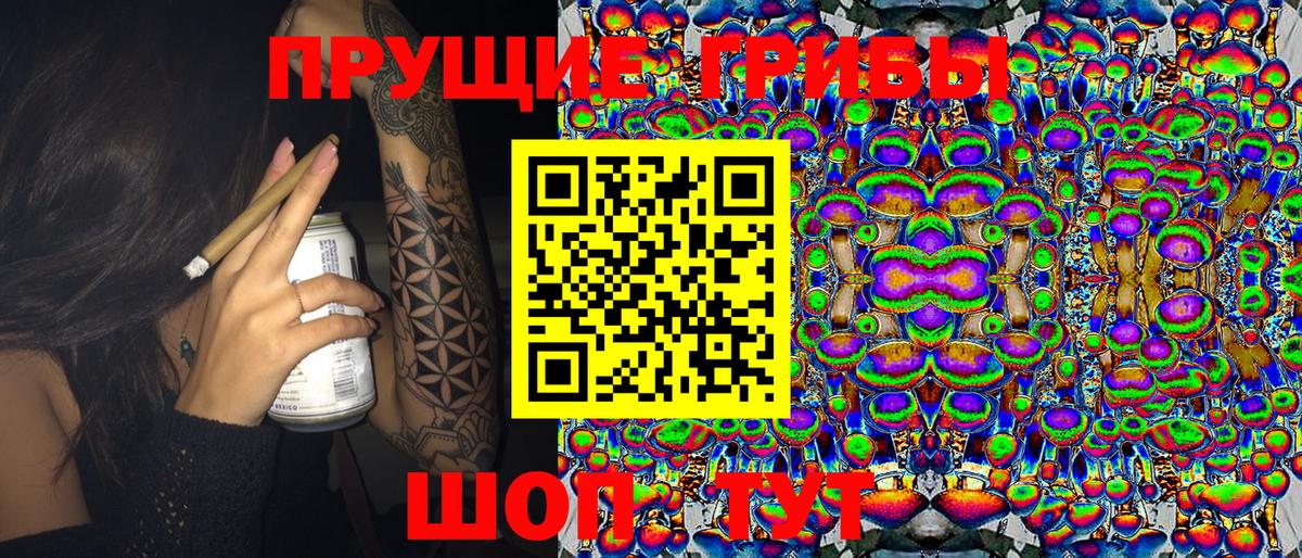 Псилоцибиновые грибы мицелий Губаха