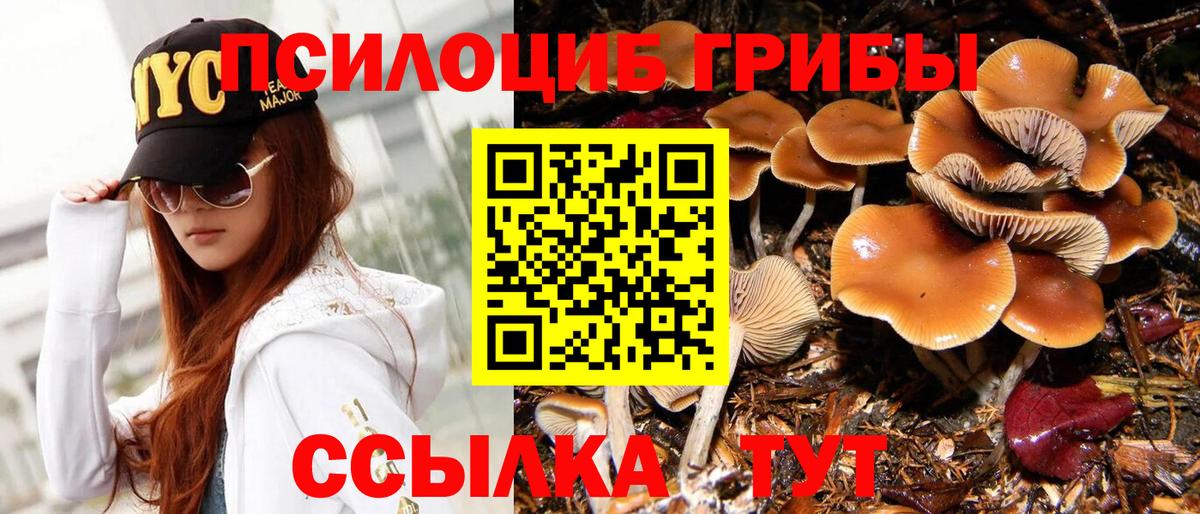 Псилоцибиновые грибы Magic Shrooms  Вход с VPN  Губаха 