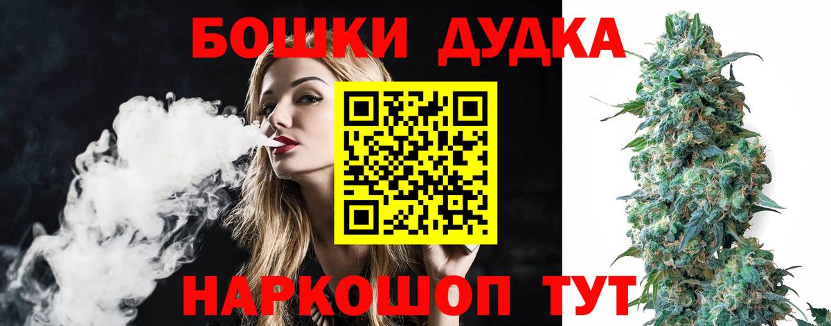 Бошки марихуана план  МАРИХУАНА White Widow  Вход с VPN  Губаха  Канабис конопля 